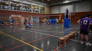 Semifinales Voleibol